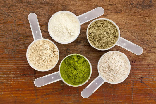 Protein Powders